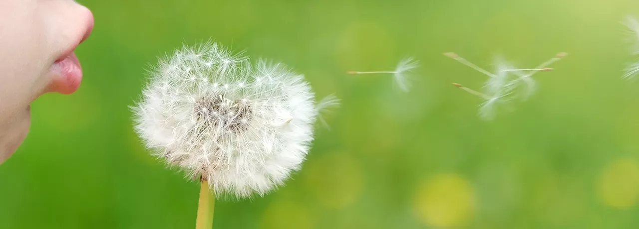 Can Employee Wellness Programs Cure What Ails Us?