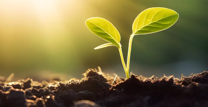 4 Tips for International Accounting Day