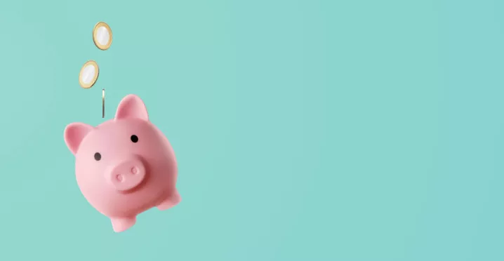 Shows a piggy bank with coins floating above it