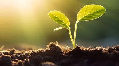 4 Tips for International Accounting Day