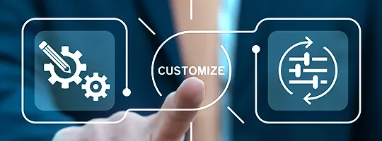 customize